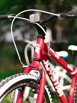 JOYSTAR 20-Inch Kids Mountain Bike
