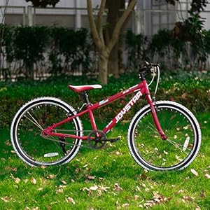 JOYSTAR 20-Inch Kids Mountain Bike